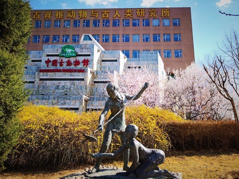 哪里可以找到更多馬古龍魚圖片（如何找到馬古龍魚圖片） 哪里可以找到更多馬古龍魚圖片（如何找到馬古龍魚圖片） 龍魚百科 第29張