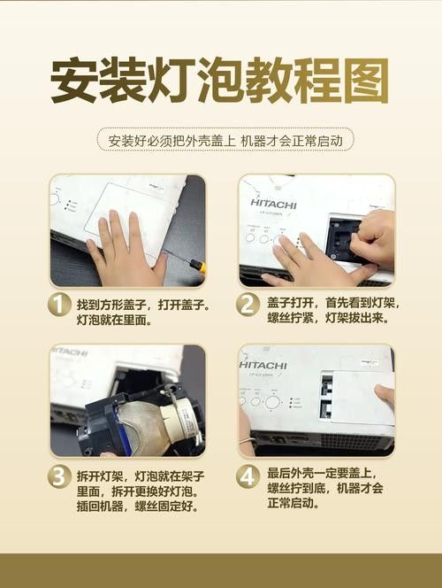 如何預防紅眼恐龍魚疾?。A防紅眼恐龍魚疾病的建議）