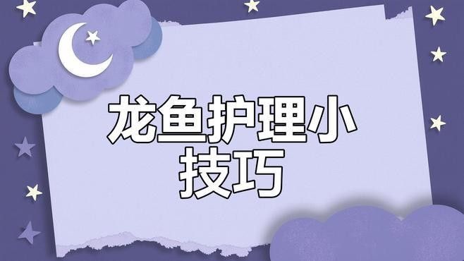 紅眼白子招財龍多久喂一次？（紅眼白子招財龍的喂養(yǎng)方法） 紅眼白子招財龍多久喂一次？（紅眼白子招財龍的喂養(yǎng)方法） 龍魚百科 第4張