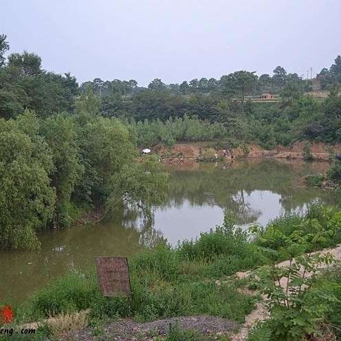 龍魚垂釣園是否真實存在（福建男子釣魚發(fā)現(xiàn)野生龍魚垂釣園）