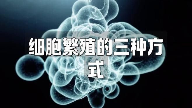 紅細胞的繁殖方式是怎樣的（紅細胞是怎么產生的）