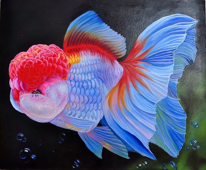 繁殖期間如何避免水溫波動？（孔雀魚繁殖季節注意事項） 繁殖期間如何避免水溫波動？（孔雀魚繁殖季節注意事項） 龍魚百科 第7張