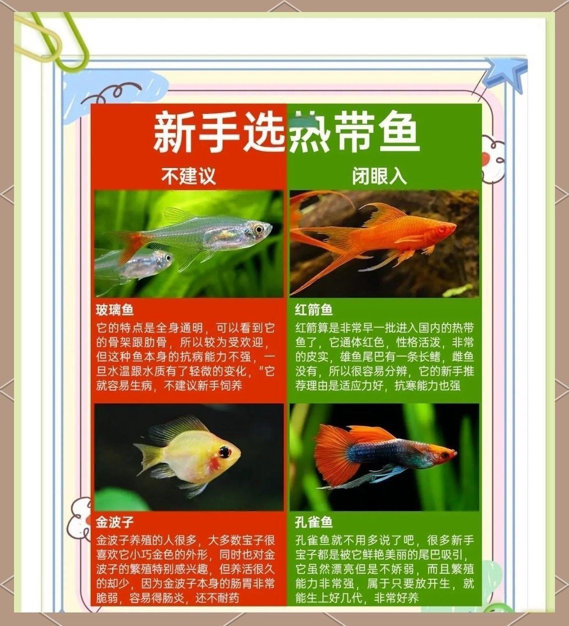 繁殖期間如何避免水溫波動？（孔雀魚繁殖季節注意事項） 繁殖期間如何避免水溫波動？（孔雀魚繁殖季節注意事項） 龍魚百科 第8張