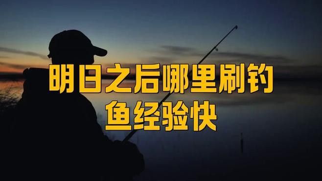 茅斯沼澤還有哪些釣魚點(diǎn)？（明日之后茅斯沼澤釣魚技巧大揭秘明日之后各地圖釣魚技巧大揭秘）