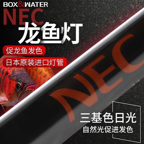 給我推薦幾款適合龍魚的烤色燈（燈金龍紅龍魚烤色燈推薦/*led烤色燈）
