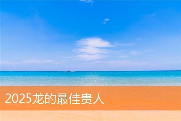 屬龍人2025年有哪些職場貴人（屬龍人2025年的職場貴人主要來自以下幾個領域）