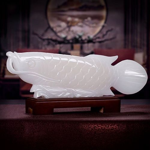 白玉龍魚的最佳混養伙伴有哪些（新手養龍魚，選擇合適的混養伙伴不僅能豐富其生活，還能提升觀賞價值）