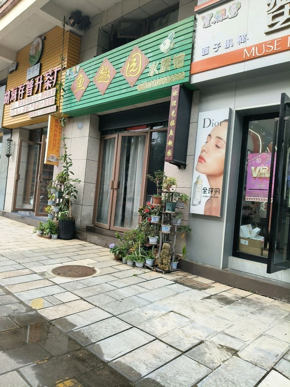 勐海哪個水族館龍魚好？祥龍魚場龍魚（云南勐海祥龍魚場）