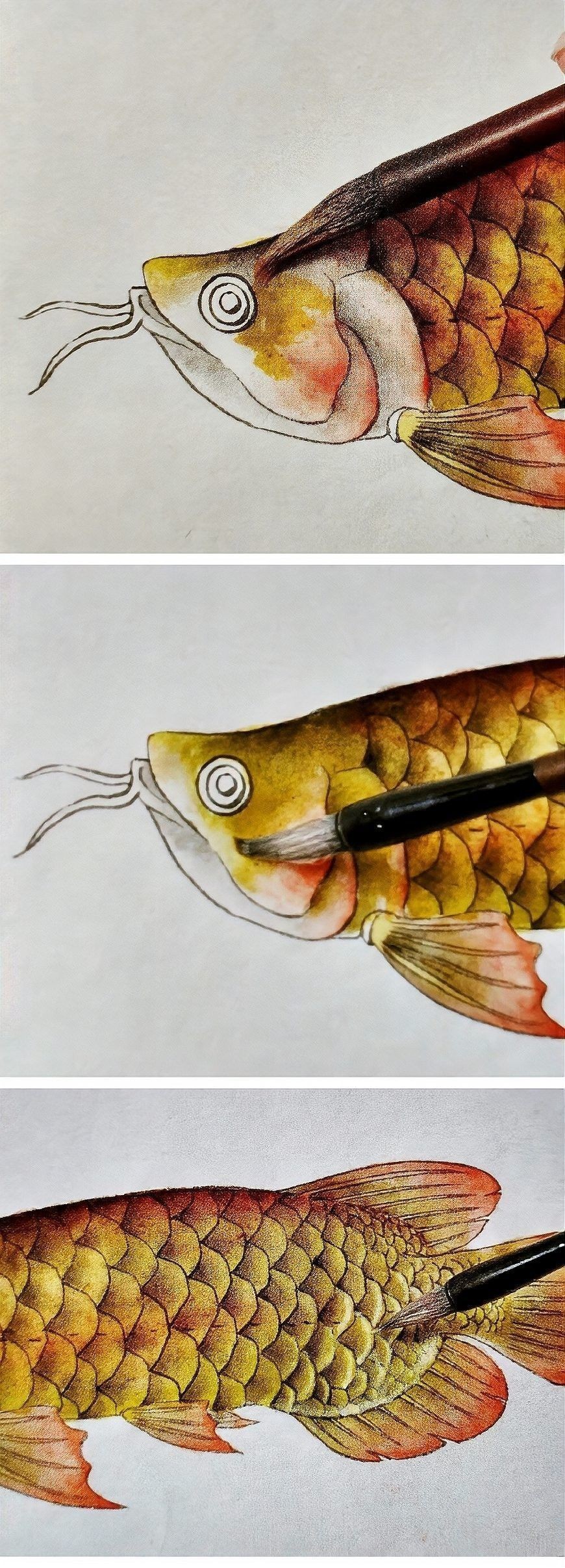 如何鑒別工筆金龍魚畫真偽？（如何鑒別工筆金龍魚畫的真偽）