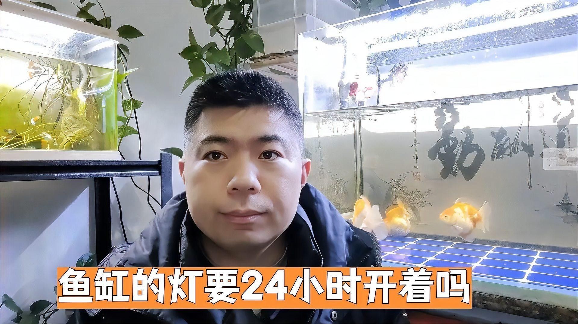 魚缸燈光開多久合適？（魚缸燈光一天開幾個(gè)小時(shí)最好）