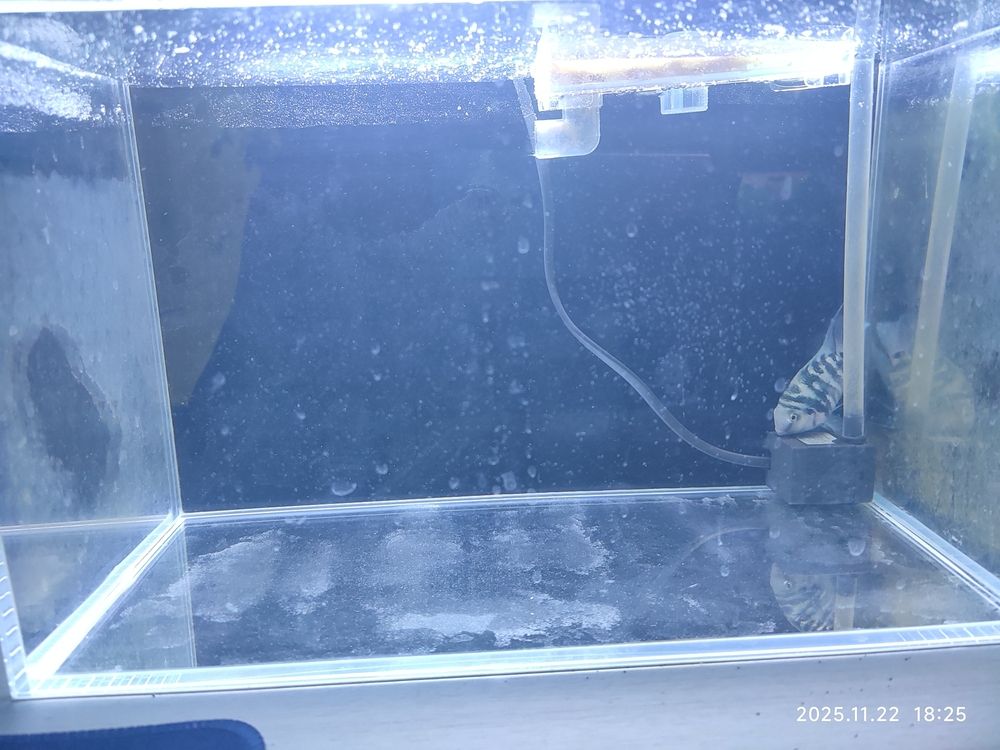 換水（換水對水質的影響及其管理策略）