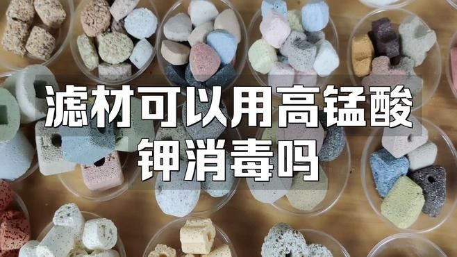 龍魚缸濾材清洗后需要消毒嗎（魚缸濾材清洗后是否需要消毒）