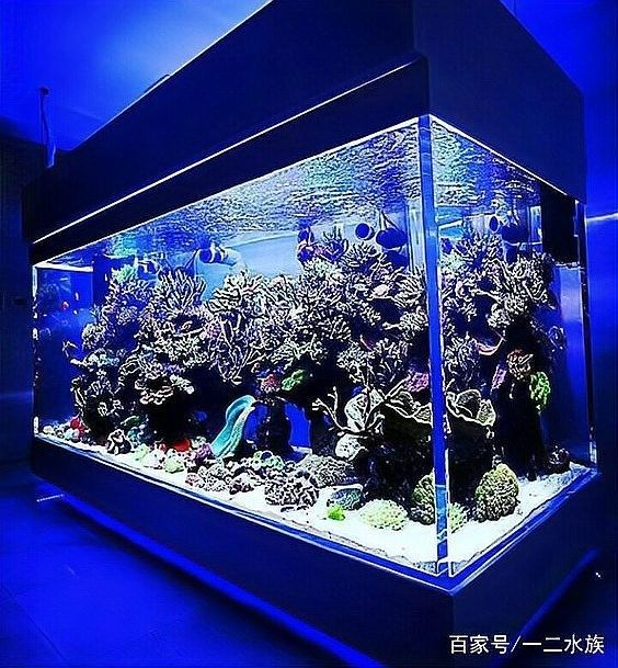 龍魚缸濾材清洗后需要消毒嗎（魚缸濾材清洗后是否需要消毒）