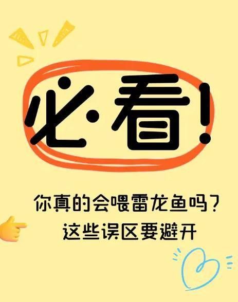 雷龍魚餌料多久更換一次（雷龍魚的餌料更換頻率） 雷龍魚餌料多久更換一次（雷龍魚的餌料更換頻率） 龍魚百科 第13張