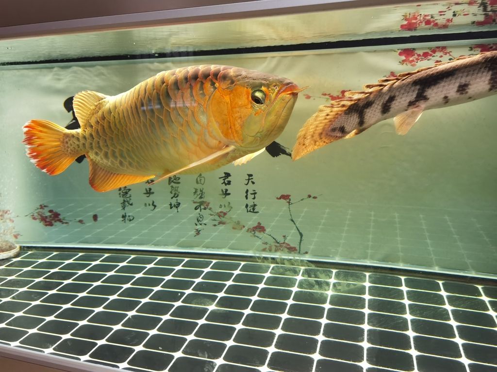 （文章呼吁社會各界共同努力以確保科技發展能夠造福全人類）