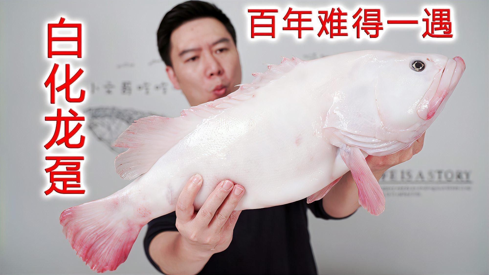 白化變異龍魚(yú)有哪些品種？（白化變異龍魚(yú)品種介紹）