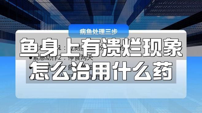 龍魚感染潰爛后應該如何治療（寵博士，魚身上有潰爛現象怎么治）