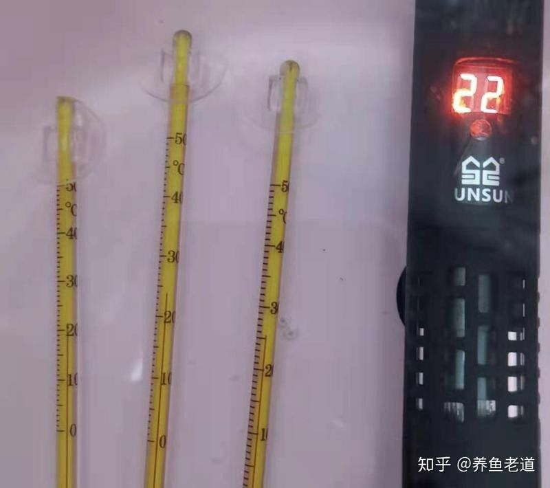如何判斷魚缸溫度計是否需要校準(zhǔn)（新買的魚缸溫度計怎么校準(zhǔn)）