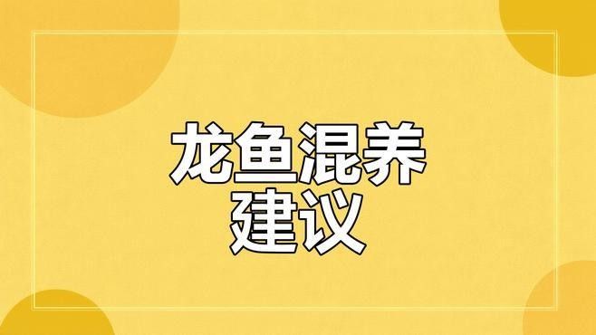 還有哪些龍魚混養視頻推薦（受歡迎的龍魚混養視頻推薦：龍魚混養技巧視頻推薦） 還有哪些龍魚混養視頻推薦（受歡迎的龍魚混養視頻推薦：龍魚混養技巧視頻推薦） 龍魚百科 第1張