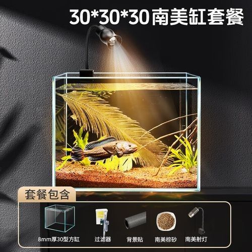 給我推薦幾款適合雷龍魚的魚缸（幾款適合雷龍魚的魚缸推薦）