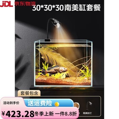 給我推薦幾款適合雷龍魚的魚缸（幾款適合雷龍魚的魚缸推薦）