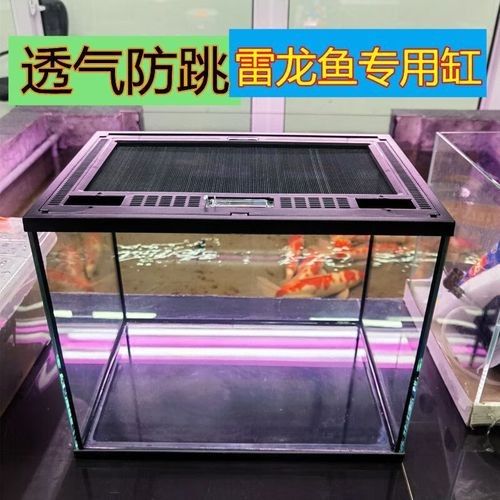給我推薦幾款適合雷龍魚的魚缸（幾款適合雷龍魚的魚缸推薦）