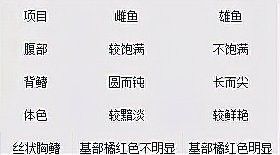 如何挑選健康的藍曼龍魚（怎么挑選健康的藍曼龍魚）
