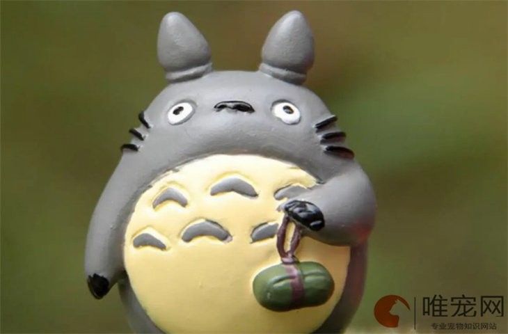 龍貓牙齒過長會怎樣（龍貓牙齒過長會導致咀嚼困難，）