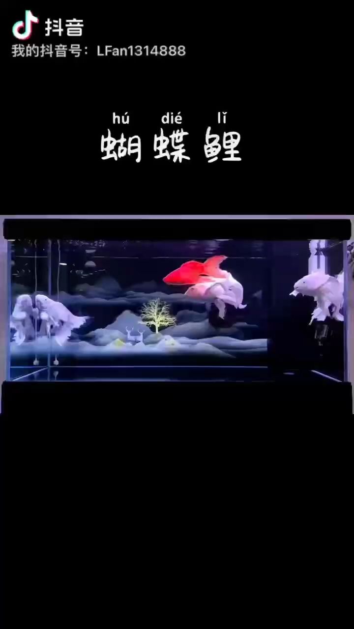 哈哈（——未來數(shù)字藝術(shù)的發(fā)展機(jī)遇）