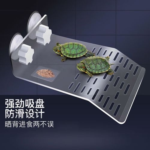推薦幾款適合混養的曬臺（三款適合混養的曬臺推薦）