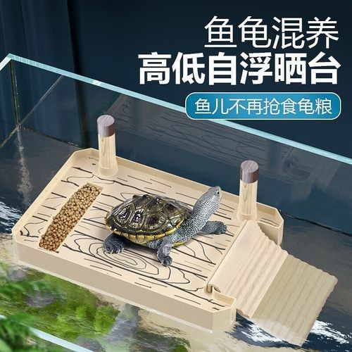 推薦幾款適合混養的曬臺（三款適合混養的曬臺推薦）