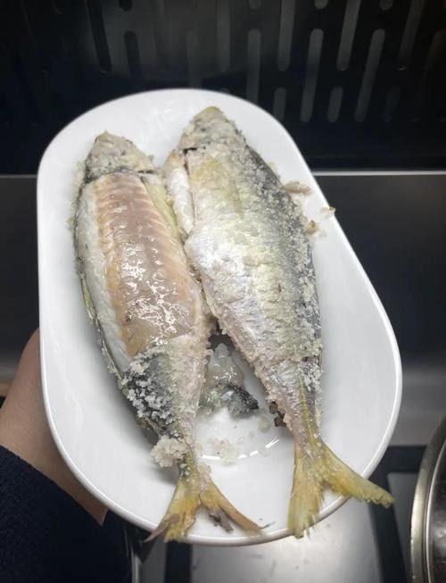 巴浪魚的價格是多少（巴浪魚價格是多少）