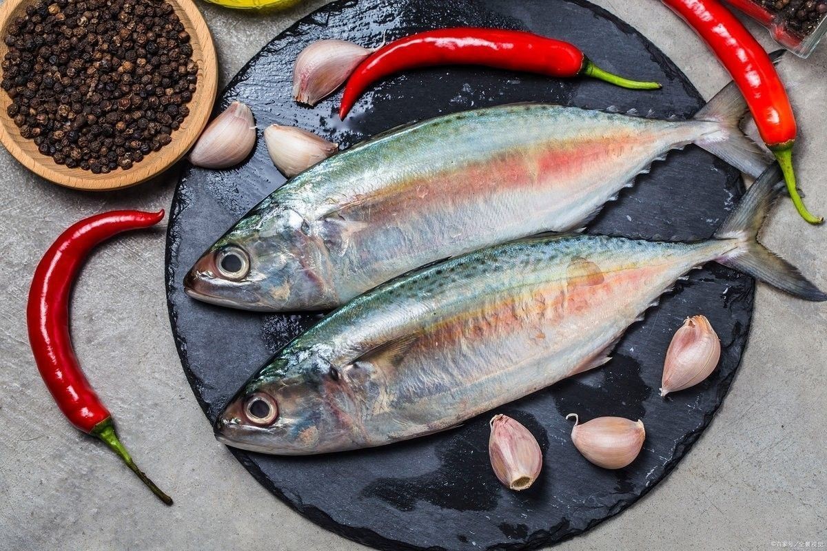 巴浪魚的價格是多少（巴浪魚價格是多少）