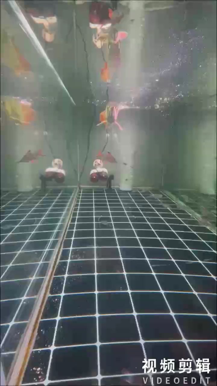 每天打卡（每日打卡是一種簡單而有效的時間管理工具）