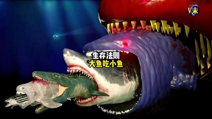 哪種飛鳳魚與龍魚和虎魚混養最佳（飛鳳魚與龍魚、虎魚混養的好處與注意事項）