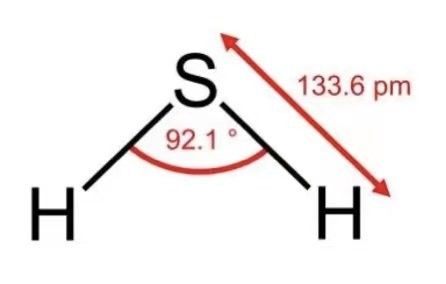 如何判斷金頭過(guò)背是否褪色（如何判斷一件金頭過(guò)背是否褪色） 如何判斷金頭過(guò)背是否褪色（如何判斷一件金頭過(guò)背是否褪色） 龍魚百科 第14張