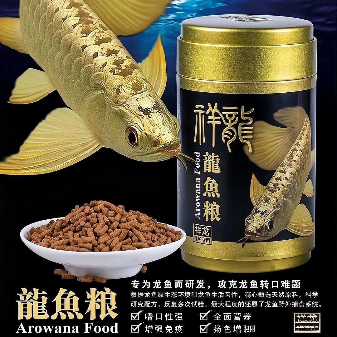 哪個市場有更多的龍魚品種？（哪個市場有更多的龍魚品種）