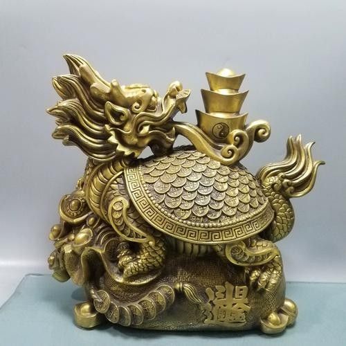如何判斷龍龜圖片是否可商用（龍龜圖片的商用判斷） 如何判斷龍龜圖片是否可商用（龍龜圖片的商用判斷） 龍魚百科 第6張