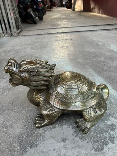 如何判斷龍龜圖片是否可商用（龍龜圖片的商用判斷） 如何判斷龍龜圖片是否可商用（龍龜圖片的商用判斷） 龍魚百科 第5張