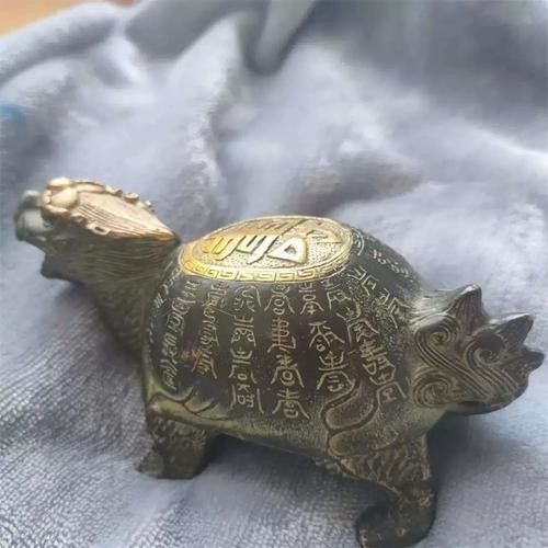 如何判斷龍龜圖片是否可商用（龍龜圖片的商用判斷） 如何判斷龍龜圖片是否可商用（龍龜圖片的商用判斷） 龍魚百科 第3張