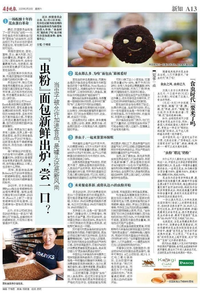 面包蟲作為輔食的比例是多少？（新知|“蟲粉”食品或成新風尚中國科普網） 面包蟲作為輔食的比例是多少？（新知|“蟲粉”食品或成新風尚中國科普網） 龍魚百科 第2張