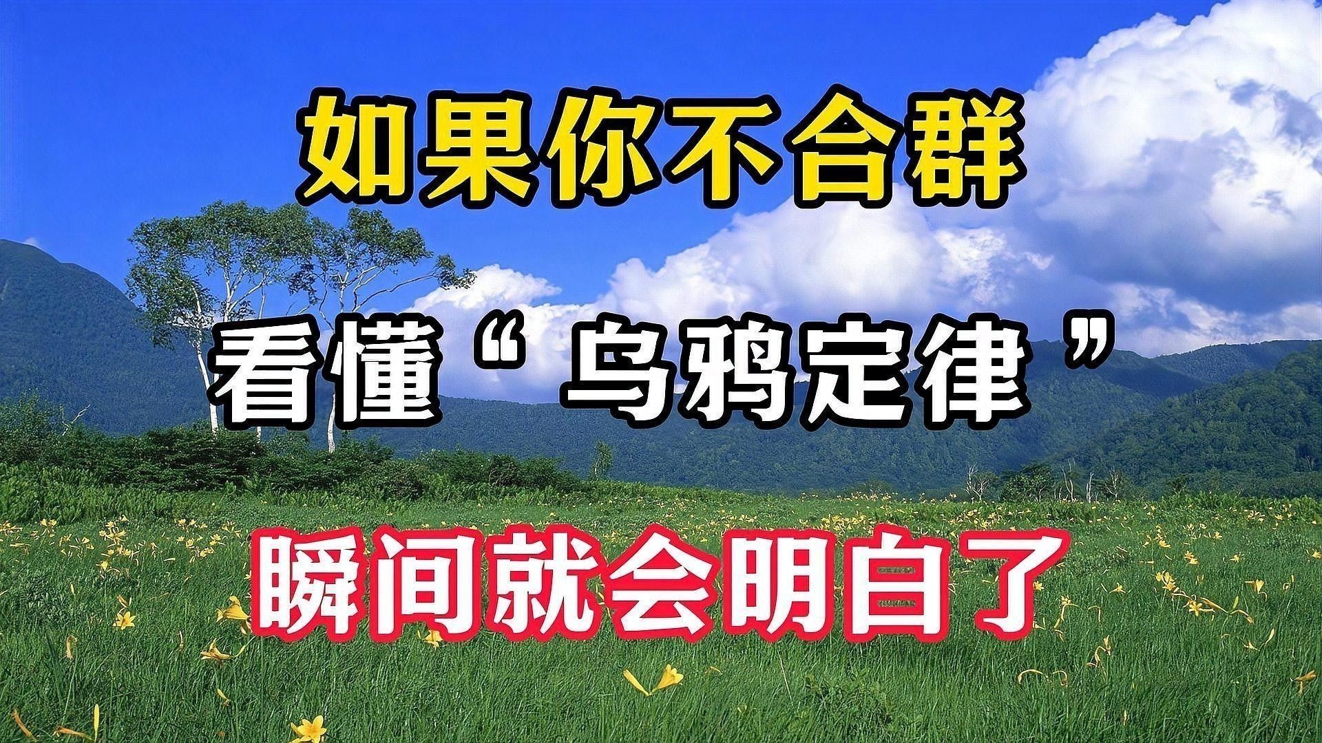 群主一般多久在線？（如果有一天，你越來越不合群，看懂“烏鴉定律”） 群主一般多久在線？（如果有一天，你越來越不合群，看懂“烏鴉定律”） 龍魚百科 第1張