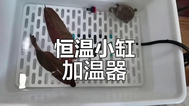 森森和創寧加熱棒哪個更好？（森和創寧加熱棒品牌排行榜森森和創寧哪個更耐用）
