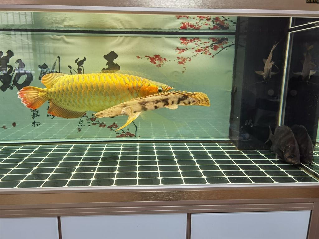 （全球變暖與海平面上升對沿海城市的影響）