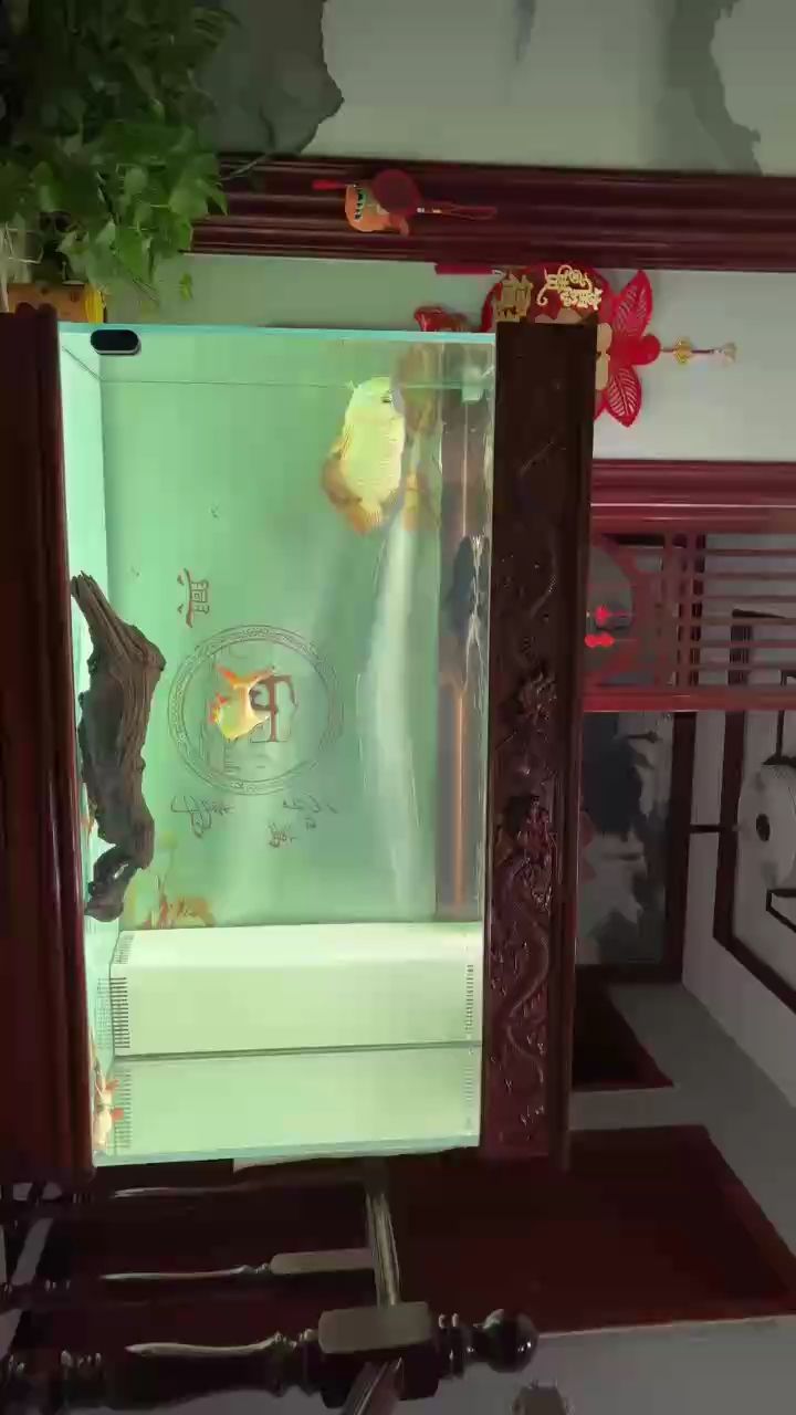 看會(huì)（會(huì)話式學(xué)習(xí)在教育領(lǐng)域的應(yīng)用）