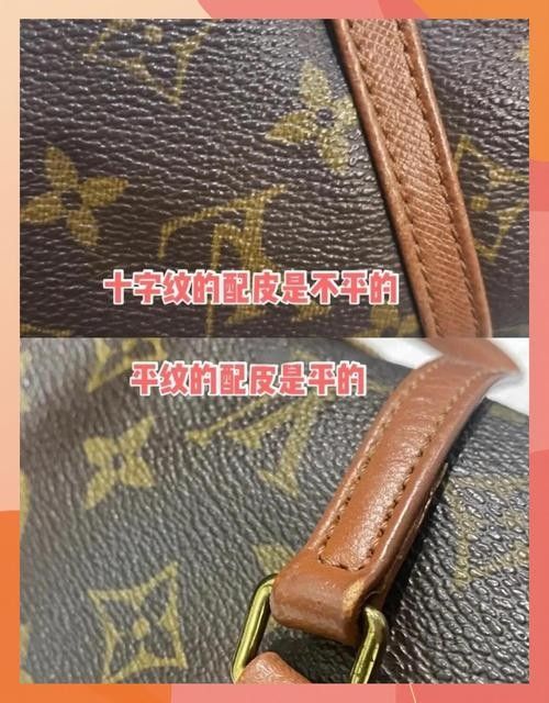 如何辨別洛賓紅龍的品質（如何挑選優質洛賓紅龍）