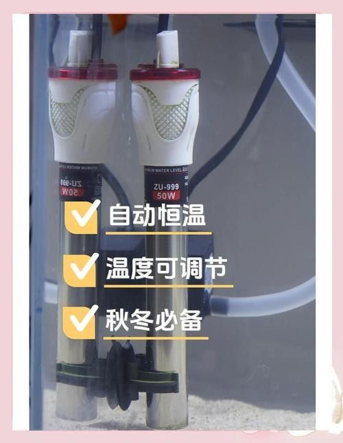 雙加熱棒如何設置？（加熱棒的正確使用方法） 雙加熱棒如何設置？（加熱棒的正確使用方法） 龍魚百科 第6張