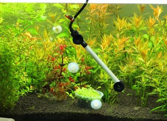 雙加熱棒如何設置？（加熱棒的正確使用方法） 雙加熱棒如何設置？（加熱棒的正確使用方法） 龍魚百科 第17張