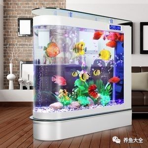雙加熱棒如何設置？（加熱棒的正確使用方法） 雙加熱棒如何設置？（加熱棒的正確使用方法） 龍魚百科 第18張
