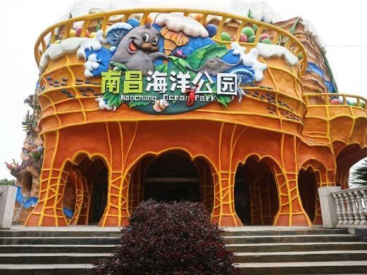 南昌哪個(gè)水族館龍魚好？祥龍魚場龍魚（南昌海洋公園祥龍魚場·進(jìn)口元寶鳳凰魚飼養(yǎng)全指南）